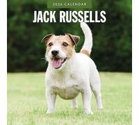 Jack Russells - Calendario da parete quadrato 2026 Red Robin Publishing