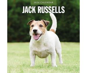 Jack Russells - Calendario da parete quadrato 2026 Red Robin Publishing