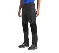 Jack Wolfskin Hiking Alpine Pants M Pantaloni da Escursionismo, Phantom, 50 Uomo