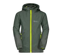 Jack Wolfskin Iceland 3IN1 Jacket B, Cappotto Uomini, Thyme Green,