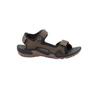 Jack Wolfskin Lakewood Cruise Sandal M, Arrampicata Uomo, Marrone (Dark Wood 5690), 44.5 EU
