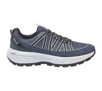 Jack Wolfskin - Wild Hike Texapore Low - Scarpe sportive EU 41 grigio/blu