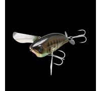 Jackall POMPADOUR E JR 6,6 E 7,9cm SPECIALE BIG BASS LUCCIO TOP WATER