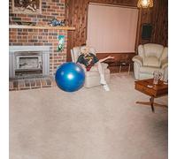 Jacklin Julia - Don'T Let The Kids Win