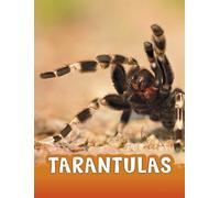 Jaclyn Jaycox Tarantulas (Copertina rigida) Animals