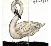 JACOBS, KATE - HYDRANGEA