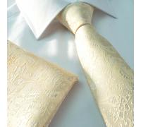 Jacquard Paisley Uomo Seta Tessuta Tasca Fazzoletto & Cravatta Set F da Sposa UK