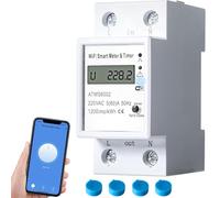 Jadeshay Contatore Energia Elettrica WiFi,Misurator di Consumo Elettrico Monofase Smart Timer Tuya Temporizzazione Remota Controllo App Vocale 60A 100-240VAC
