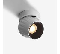 Jadssox Faretto a LED per montaggio su superficie Lampada per montaggio a soffitto orientabile, faretti direzionali girevoli 90+360° per corridoio della galleria, luci per quadri e mini faretti d'acce