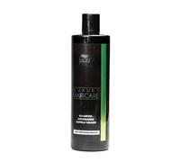 JaDy - Shampoo Capelli Grassi Professionale | Seboregolatore Purificante con Menta e Proteine del Grano | Pulizia Profonda e Delicata | Capelli Morbidi e Lucenti | 400 ml