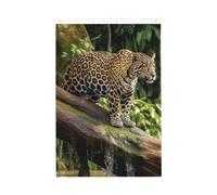 Jaguar Cat on Tree Tronco Cascata Benvenuto Giardino Bandiera 0,6 x 0,9 m No Fade Double Sided Casa Yard Bandiere Outdoor Banner Decorazione Per Cortile Portico Prato