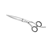 Jaguar Gold Line Forbici per capelli Heron 6"" argento