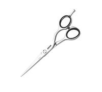 Jaguar Silver Line CJ4 Plus Forbici da parrucchiere, lunghezza 15,2 cm, 0,03503 kg