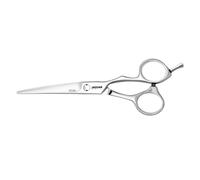 Jaguar Silver Line Forbici per capelli Xena 5,5" argento