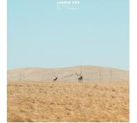 Jaguar Sun - For You