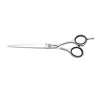 Jaguar White Line JP 10 - Forbici da parrucchiere, lunghezza 17 cm, colore: argento, 0,03597 kg, 4030363124163