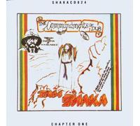 Jah Shaka - Commandments of Dub Pt.1