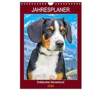 Jahresplaner Entlebucher Sennenhund (Wandkalender 2026 DIN A4 hoch), CALVENDO Monatskalender: Die kleinste Rasse der Schweizer Sennenhunde - der Entlebucher