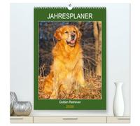 Jahresplaner Golden Retriever (hochwertiger Premium Wandkalender 2026 DIN A2 hoch), Kunstdruck in Hochglanz: Eine der schönsten und beliebtesten Hunderassen in 13 bezaubernden Bildern