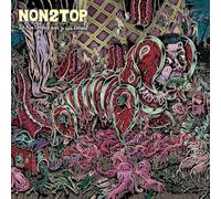 J'Ai Rien Compris mais Je suis d'accord (2 Vinyls)