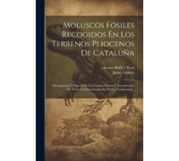 Jaime Almera Moluscos Fósiles Recogidos En Los Terrenos Pliocenos De (Tascabile)