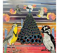 Jaimie Branch Fly Or Die Fly Or Die Fly Or Die ((world War)) (Vinyl LP)