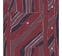 Jake Xerxes Fussell Rebuilding (Vinyl LP) 12" Album (PRESALE 12/12/2025)