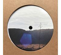 Jakob Seidensticker After We're All Gone EP (Vinyl LP) 12" EP
