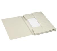 Jalema Secolor Mammoth - Raccoglitore per mammut, confezione da 10, colore: Grigio