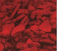 Jam City - Dream A Garden