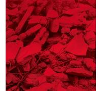 Jam City Dream a Garden (CD) Album
