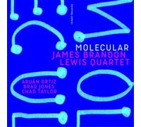 James Brandon Lewis Quartet Molecular (CD) Album