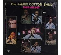 JAMES COTTON BAND - high energy