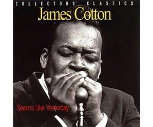 James Cotton - Seems Like Yesterday