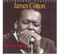 James Cotton Seems Like Yesterday (CD) Album