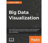 James D. Miller Big Data Visualization (Digital)