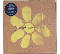 James - Destiny Calling