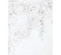 James Drake James Drake: Red Drawings and White Cut-outs (Copertina rigida)