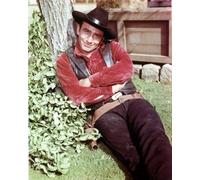 James Drury Nei Panni Del Virginiano Poster Stampa 24x20"