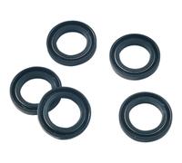 James Gasket 12047-DL Guarnizione Per Ruota - A Doppio Labbro - .250in.