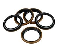 James Gasket Kit Di Guarnizioni Olio Jgi-12013-a