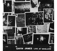James Gavin - Live At Whelans