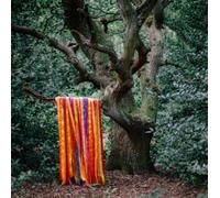 Holden James & The Animal Spirit - The Animal Spirits