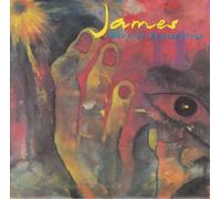 James - JAMES Born of Frustration UK 7" 45