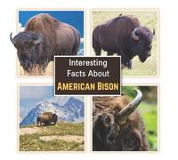 James K Mahi Mahi James K James K. Interesting Facts about American (Tascabile)