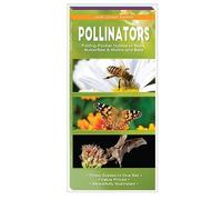 James Kavanagh Waterford Press Pollinators (Mixed Media Product)