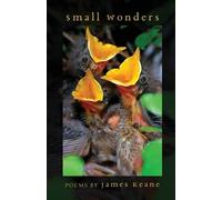 James Keane Small Wonders (Tascabile)