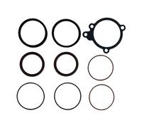 James, Kit Di Guarnizioni E O-Ring Per Carburatore S&S E/G Per Harley D