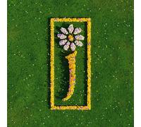 James Nothing But Love: The Definitive Best Of (Vinyl LP) 12" Album