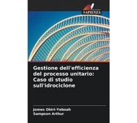 James Obiri-Yeboah Sampson Gestione dell'efficienza del processo un (Tascabile)